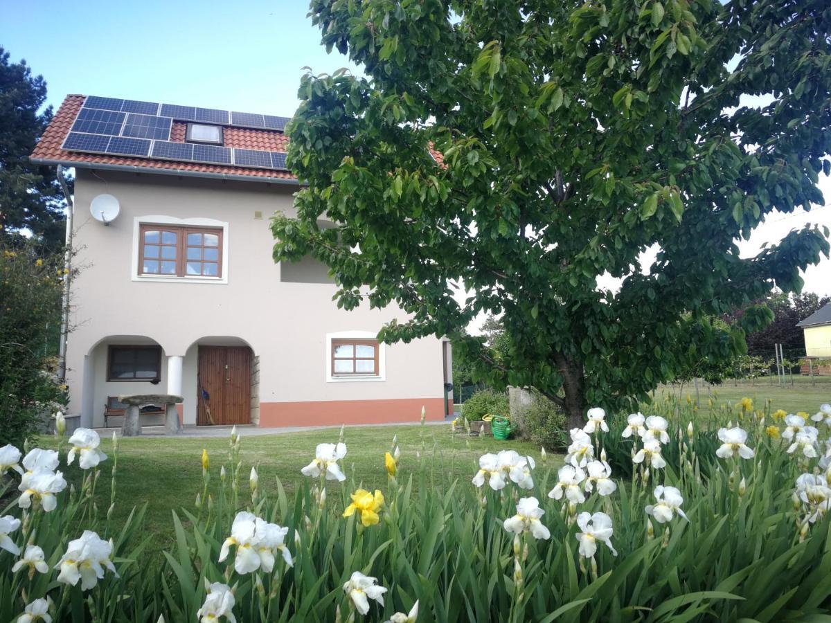 Rezi Bottyahat Guesthouse מראה חיצוני תמונה