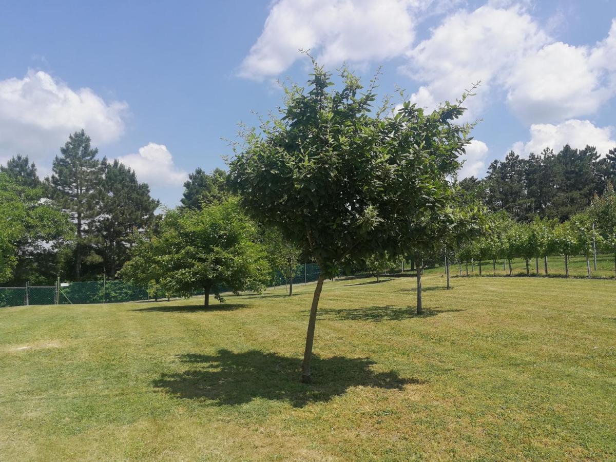 Rezi Bottyahat Guesthouse מראה חיצוני תמונה